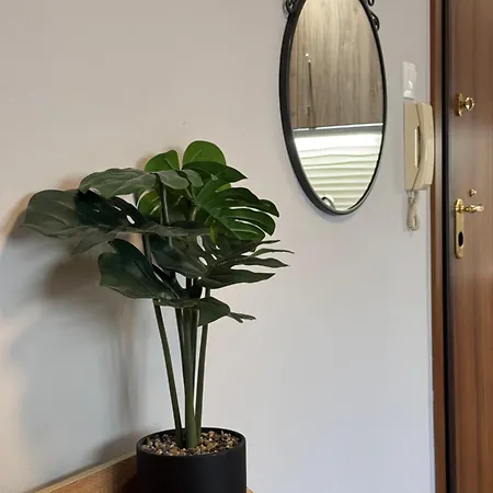 Work From Project Apartment *